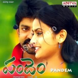 Pandem songs Download Pandem Songs free download