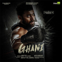 Ghani songs Download Movie songs of Ghani