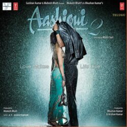 Aashiqui 2 Telugu Movie songs download