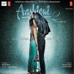 Aashiqui 2 songs Download Aashiqui 2 Telugu Movie songs download