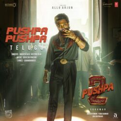 Pushpa 2 Telugu Movie songs download