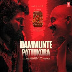 Pushpa 2 Telugu Movie songs download