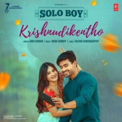 Solo Boy Telugu Movie songs download